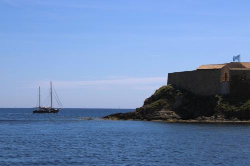 Sons cuivrés et chants de cétacés : célébrons les dauphins au Fort du Pradeau