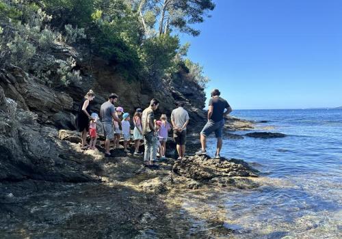 Activité enfant "Les pieds dans l'eau"_Rayol-Canadel sur Mer - Activité enfant "Les pieds dans l'eau"_Rayol-Canadel sur Mer