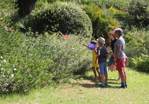 Domaine du Rayol - Activité enfant " Les petites bêtes de nos jardins"