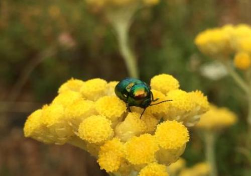 Domaine du Rayol - Activité enfant "Les mains dans la terre"
