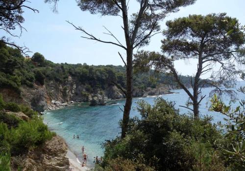 Balade randonnée sur le littoral de giens à la rencontre des oiseaux marins - Balade randonnée sur le littoral de giens à la rencontre des oiseaux marins
