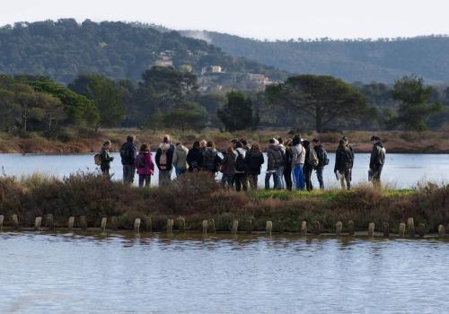 Balade randonnée sur le littoral des vieux salins à la rencontre des oiseaux marins - Balade randonnée sur le littoral des vieux salins à la rencontre des oiseaux marins