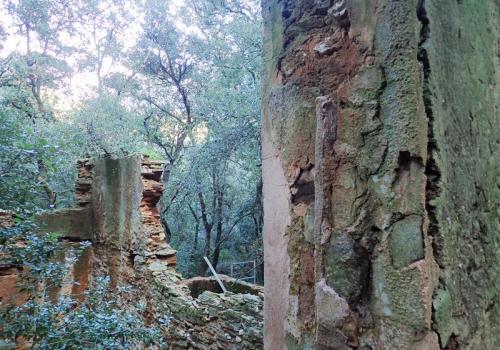 Ruines en forêt - Ruines en forêt