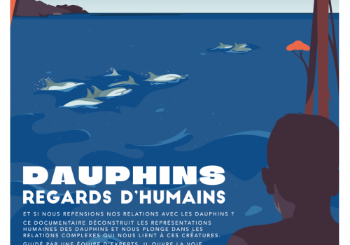 Dauphins : regards d'hommes