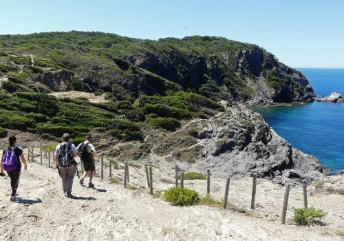 Sentier du littoral à Giens