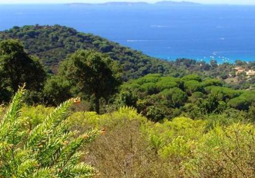 Point rencontre : Découverte de la nature méditerranéenne_La Croix-Valmer