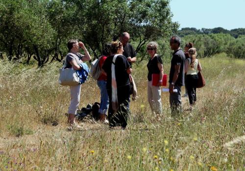 Point rencontre : La flore des îles méditerranéenne (Porquerolles)_Hyères - Balade naturaliste