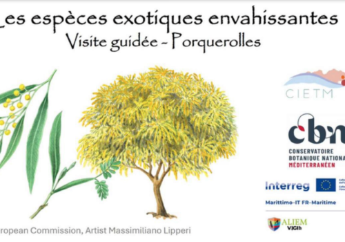 Balade nature sur l’île de Porquerolles_Hyères