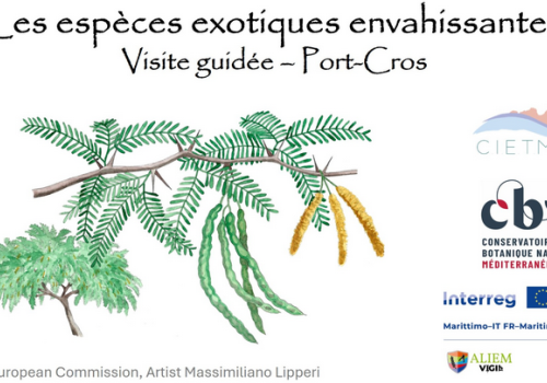 Balade nature Port-Cros : les trésors du Var menacés_Hyères