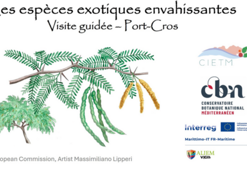 Balade nature Port-Cros : les trésors du Var menacés_Hyères