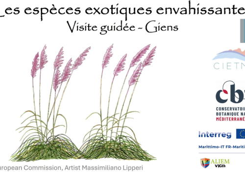 Balade nature Giens : les trésors du Var menacés_Hyères