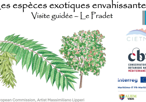 Balade nature Le Pradet : les trésors du Var menacés_Le Pradet