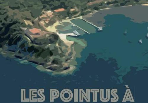Pointus in Port-Cros_Hyères