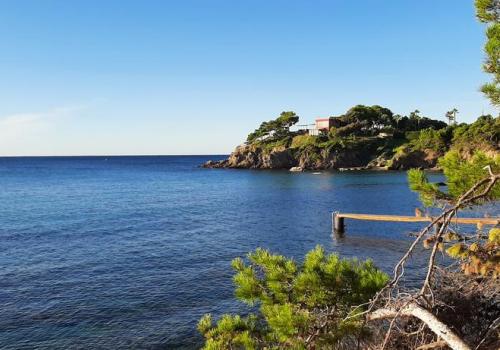 Graines de pirates à Giens : plantes pirates et trésors naturels_Hyères
