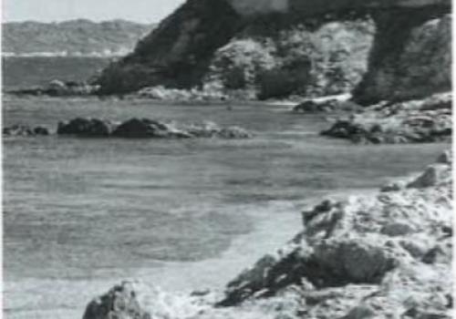 The island and the bow - FORTissimo 2026_Hyères - L'île et l'archet - FORTissimo 2026_Hyères