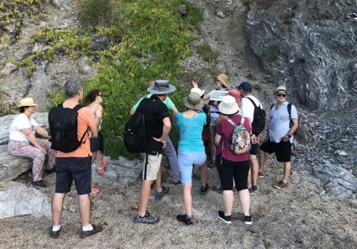 Balade et atelier peinture au Pradet - Faune et flore d'ici... et d'ailleurs_Le Pradet