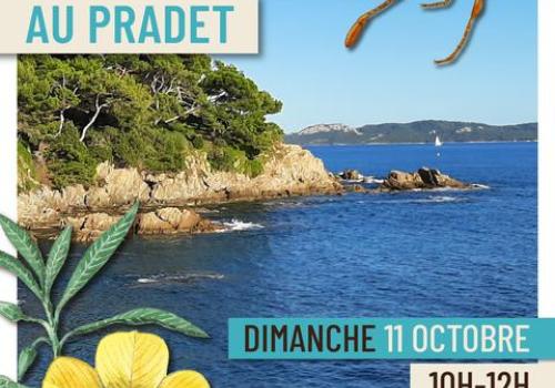 Affiche Balade nature au Pradet - Balade et atelier peinture au Pradet - Faune et flore d'ici... et d'ailleurs_Le Pradet