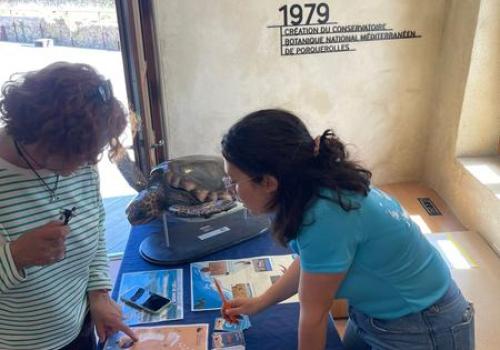 Animations Écoguides au fort du Pradeau_Hyères
