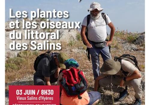Balade nature - Les plantes et les oiseaux du littoral des Salins_Hyères