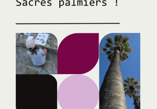 Heritage: Sacred Palm Trees_Hyères