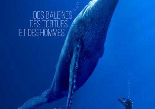 Affiche documentaire "Des baleines, des tortues et des hommes" - Affiche Jeudis du Fort du Pradeau : les tortues