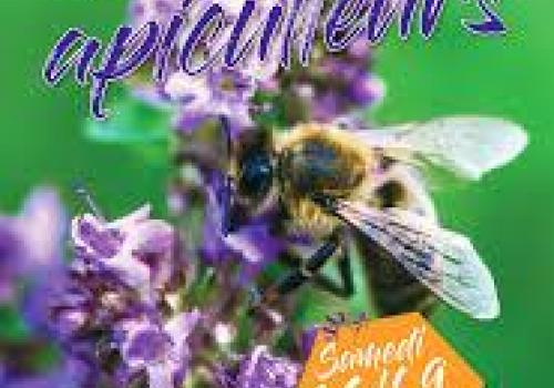 Bee Week Poster - Affiche pour la semaine de l'abeille