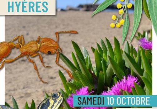 Table ronde : Faune et flore d'ici ... et d'ailleurs_Hyères - Table ronde