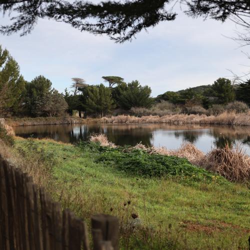 Lagunes de Porquerolles ©M. Gasquy