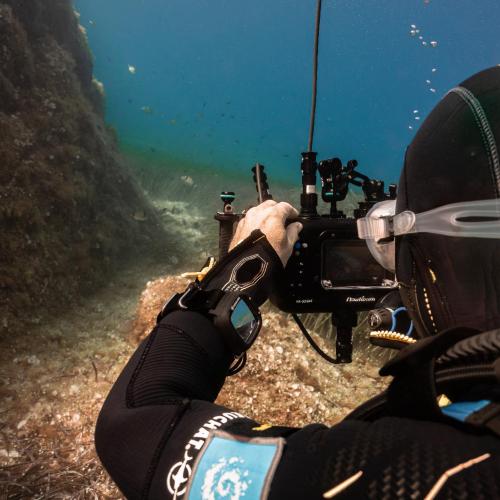 PLONGEUR AVEC CAMERA DANS UN FOND SOUS MARIN 