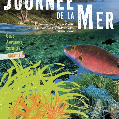 montage photo avec une vue sous marine et des collages poissons et posidonie