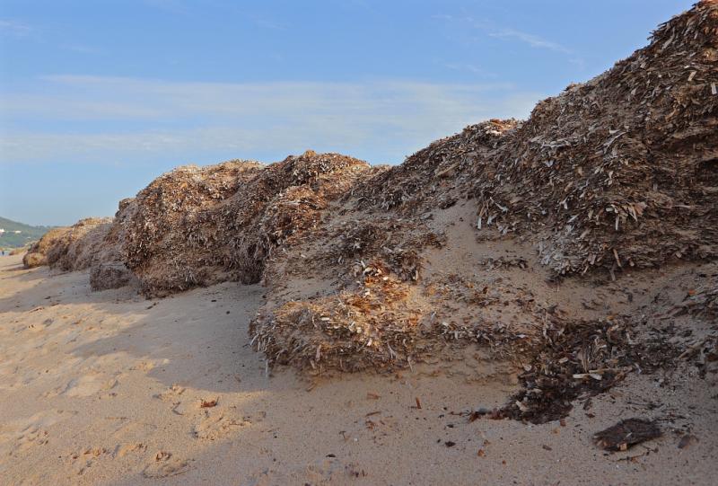 Plage de l'Almanarre - Presqu'ile de Giens ©Muriel Gasquy