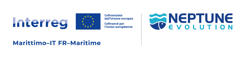 Logo Neptune Evolution