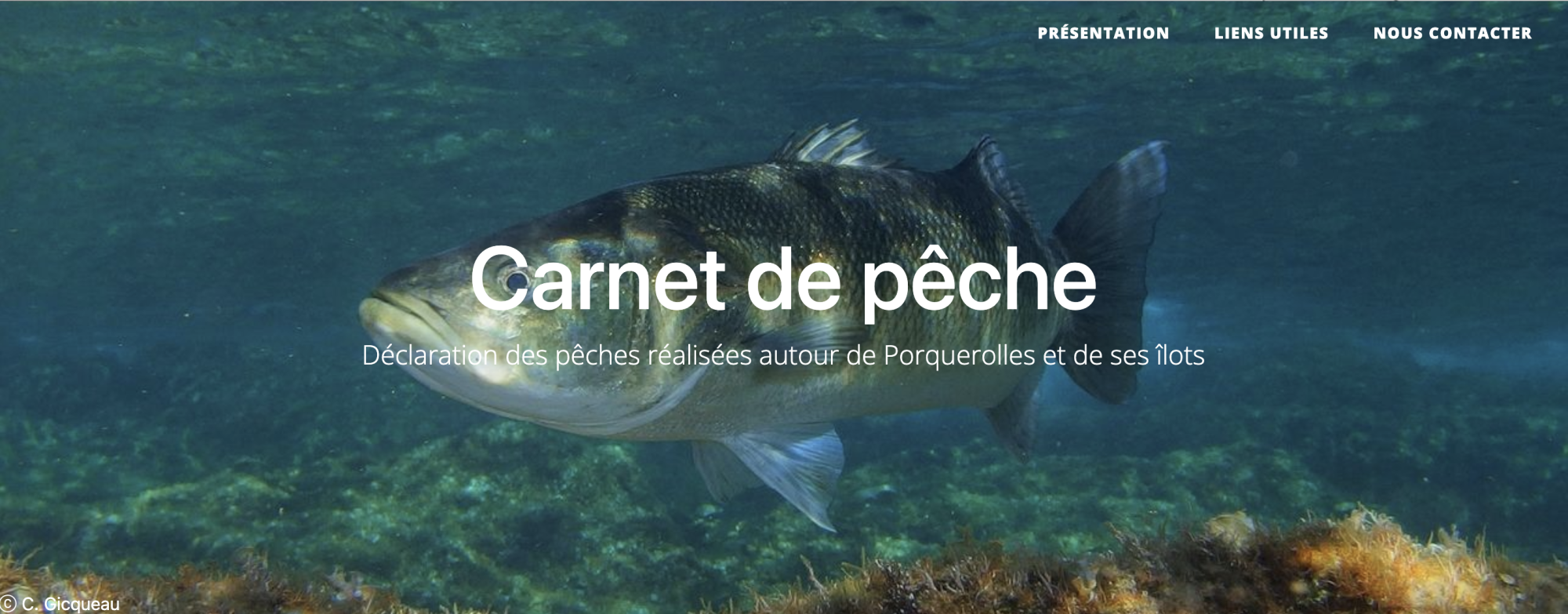 Carnet de pêche en ligne