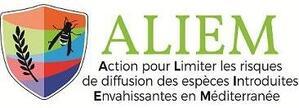 logo aliem 300