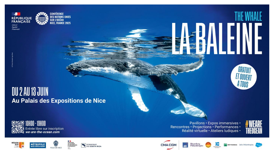 baleine unoc