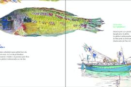 illustrations poisson et bateau de pêche