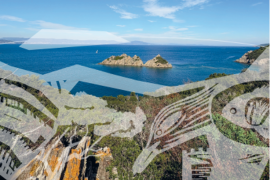 ilot du rascas entouré d'eau et nature