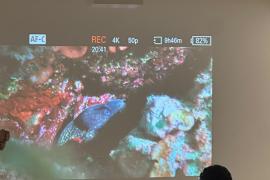 projection en direct sur un grand ecran dans une salle du fort du pradeau de ce qu'un plongeur découvre sous l'eau