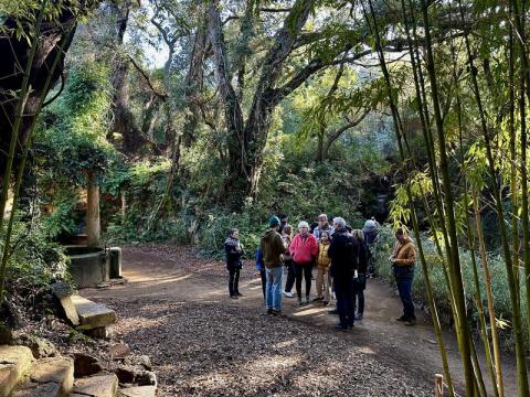Visite thématique "Balade botanique au fil des saisons"_Rayol-Canadel-sur-Mer - Domaine du Rayol