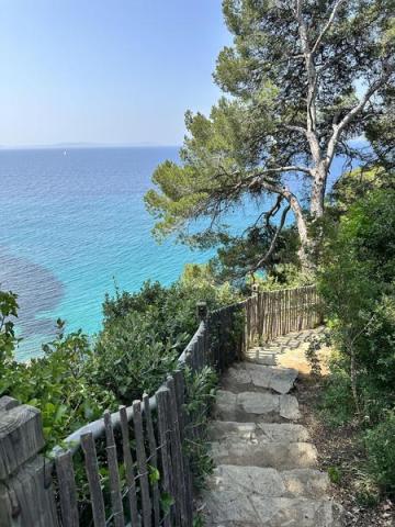 Visite thématique "La Balade Littorale"_Rayol-Canadel Sur Mer - Visite thématique "La Balade Littorale"_Rayol-Canadel Sur Mer