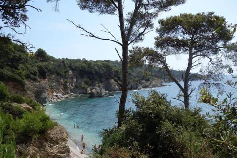 Balade randonnée sur le littoral de giens à la rencontre des oiseaux marins - Balade randonnée sur le littoral de giens à la rencontre des oiseaux marins