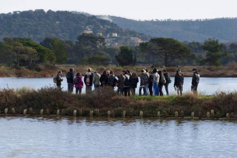 Balade randonnée sur le littoral des vieux salins à la rencontre des oiseaux marins - Balade randonnée sur le littoral des vieux salins à la rencontre des oiseaux marins