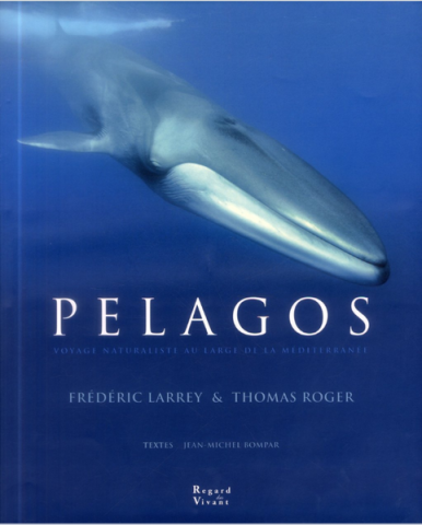 Affiche du film Pelagos - Affiche du film Pelagos