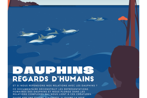 Dauphins : regards d'hommes