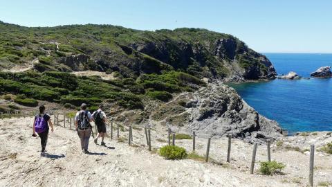 Sentier du littoral à Giens