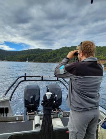Point rencontre : Les requins en Méditerranée (Porquerolles)_Hyères - Tournée de surveillance en mer
