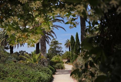 Exposition photographique "Tema Ènana"_Hyères - Jardin Emmanuel Lopez