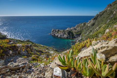 Falaises du Sud