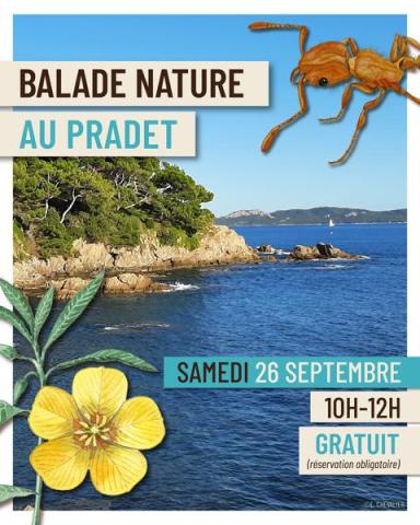 Balade nature au Pradet -CIETM - Affiche pour Balade nature au Pradet - Faune et flore d'ici... et d'ailleurs_Le Pradet