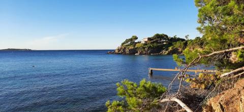 Graines de pirates à Giens : plantes pirates et trésors naturels_Hyères